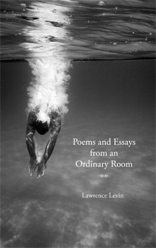 Poems and Essays from an Ordinary Room, Lawrence Levin